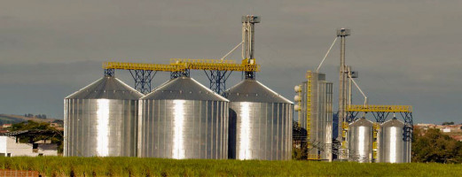 Agriculture