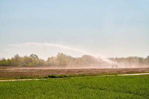 Agriculture
