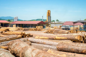 Wood processing